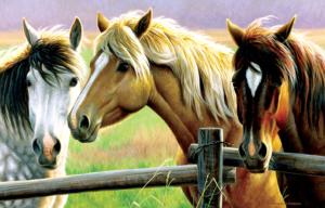 Horse Fence - Scratch and Dent Horse Jigsaw Puzzle By SunsOut