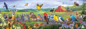 Eastern Birds Birds Panoramic Puzzle By SunsOut