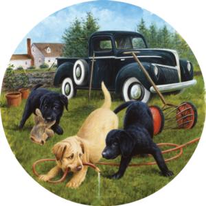 Garden Helpers Vehicles Round Jigsaw Puzzle By SunsOut
