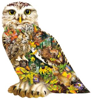 Forest Messenger Birds Jigsaw Puzzle By SunsOut