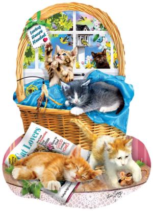 Free Kitties Cats Jigsaw Puzzle By SunsOut