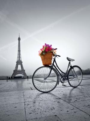 Romantic Promenade in Paris Bicycle Jigsaw Puzzle By Clementoni