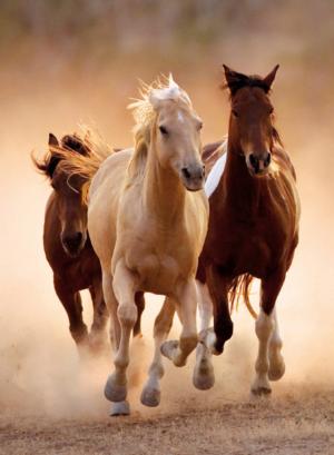 Running Horses Horses Jigsaw Puzzle By Clementoni