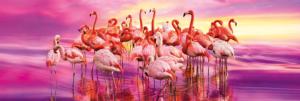 Flamingo Dance - Scratch and Dent Birds Panoramic Puzzle By Clementoni