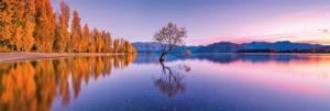 Lake Wanaka Tree Lakes / Rivers / Streams Panoramic Puzzle By Clementoni