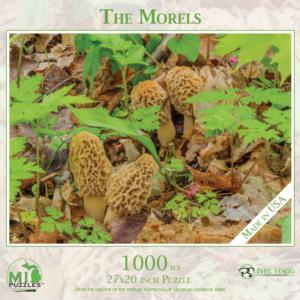The Morels Fruit & Vegetable Jigsaw Puzzle By MI Puzzles