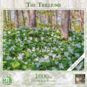The Trilliums