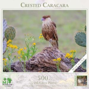 Crested Caracara Photography Jigsaw Puzzle By MI Puzzles