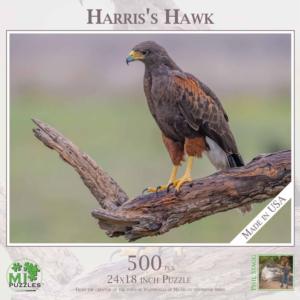 Harris's Hawk Photography Jigsaw Puzzle By MI Puzzles