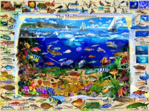 The Mediterranean - Scratch and Dent Sea Life Jigsaw Puzzle By Vermont Christmas Company