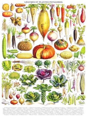 Vegetables Fruit & Vegetable Impossible Puzzle By New York Puzzle Co