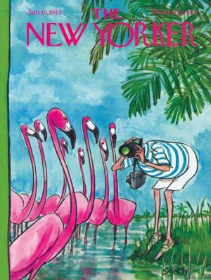Flamingo Photographer Magazines and Newspapers Jigsaw Puzzle By New York Puzzle Co