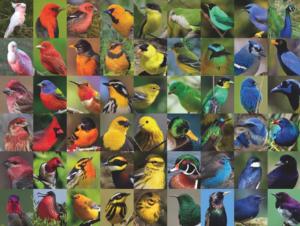Rainbow of Birds Birds Jigsaw Puzzle By New York Puzzle Co