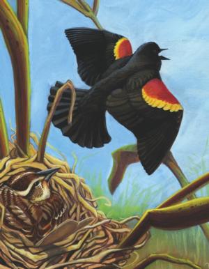 Red-Winged Blackbird Mini Puzzle Birds Miniature Puzzle By New York Puzzle Co