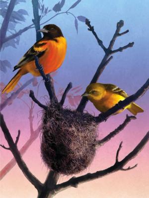 Orioles Birds Jigsaw Puzzle By New York Puzzle Co