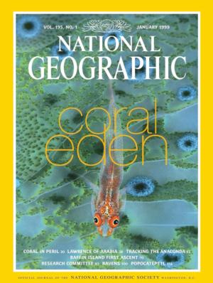 Coral Eden Magazines and Newspapers Jigsaw Puzzle By New York Puzzle Co