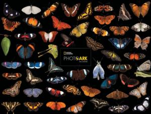 Photo Ark Butterflies Butterflies and Insects Jigsaw Puzzle By New York Puzzle Co