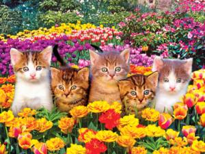 Kodak 550 - Cute Kittens on the Grass Flower & Garden Jigsaw Puzzle By Kodak