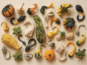 Gourd Collection Fruit & Vegetable Jigsaw Puzzle By New York Puzzle Co