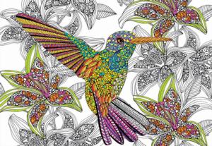 Hummingbird Flower & Garden Coloring Puzzle By Educa