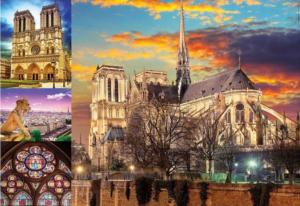 Notre Dame Collage Collage Jigsaw Puzzle By Educa
