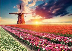 Tulips Landscape - Scratch and Dent Flower & Garden Jigsaw Puzzle By Educa