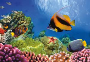 Coral Reef Fish Jigsaw Puzzle By Turner
