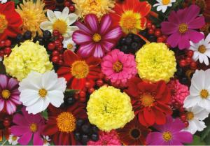 Fantastic Florals Flowers Jigsaw Puzzle By Turner
