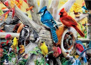 Backyard Birds Birds Jigsaw Puzzle By A Broader View