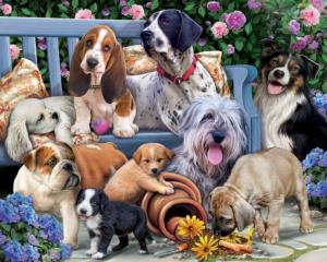 Dogs on a Bench - Scratch and Dent Collage Jigsaw Puzzle By Vermont Christmas Company