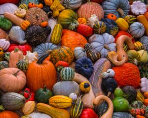 Autumn Harvest Fruit & Vegetable Jigsaw Puzzle By Vermont Christmas Company