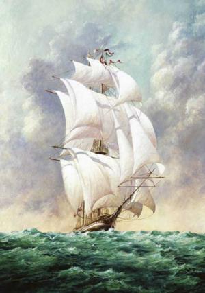 Sailboat 2 Beach & Ocean Jigsaw Puzzle By Puzzlelife