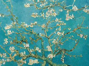 Almond Blossom Flower & Garden Jigsaw Puzzle By Puzzlelife