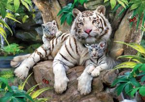 The Roar Of A White Tiger Big Cats Jigsaw Puzzle By Puzzlelife