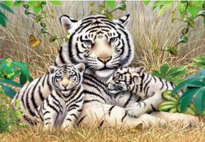 White Tiger Family 3 500 Piece Puzzle Big Cats Jigsaw Puzzle By Puzzlelife