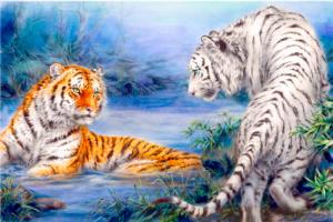 Tan-Yellow Tigers Meet Tigers Jigsaw Puzzle By Puzzlelife