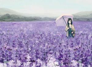 Memory Of A Lavender Garden Garden Jigsaw Puzzle By Puzzlelife