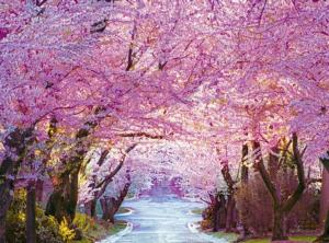 Cherry Blossom Road Flowers Jigsaw Puzzle By Puzzlelife