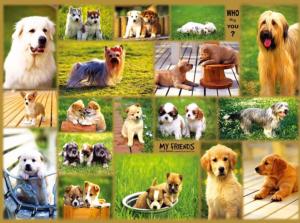 My Friends Dogs Jigsaw Puzzle By Puzzlelife