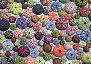 Sea Urchins Pattern & Geometric Jigsaw Puzzle By Piatnik