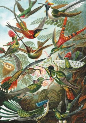 Hummingbirds - Scratch and Dent - Scratch and Dent Birds Jigsaw Puzzle By Piatnik