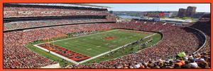 Cincinnati Bengals Sports Panoramic Puzzle By MasterPieces