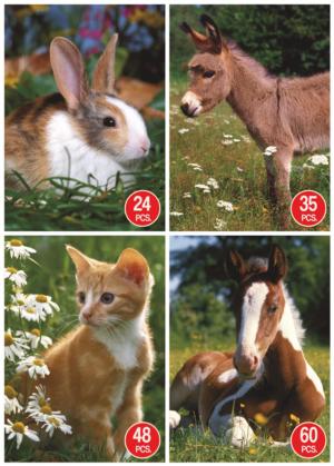 Rabbit, Donkey, Cat & Horse 4-Pack Horse Multi-Pack By D-Toys