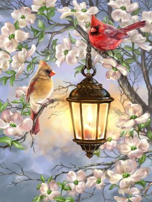 Spring Lantern Flower & Garden Dementia / Alzheimer's By Springbok