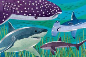 Foil Sharks - Scratch and Dent Children's Cartoon Children's Puzzles By Mudpuppy
