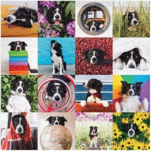 Momo The Dog Collage Jigsaw Puzzle By Galison