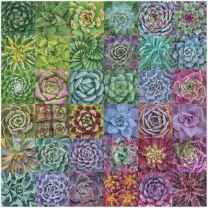 Succulent Spectrum Collage Impossible Puzzle By Galison