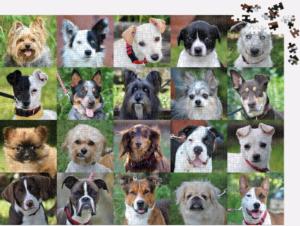 Rescue Dogs Photography Jigsaw Puzzle By Galison