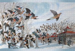 The Last Passenger Pigeon Birds Jigsaw Puzzle By Pomegranate
