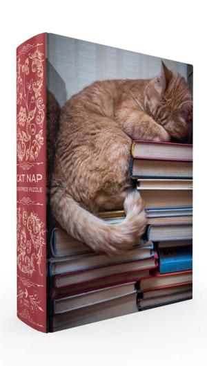 Cat Nap Book Box Puzzle